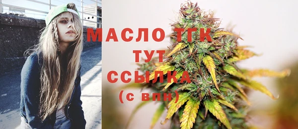 mix Богородицк